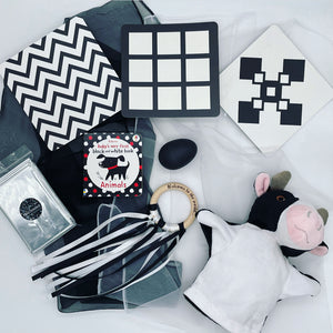 Black and White Sensory Toys 