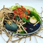Load image into Gallery viewer, Dinosaur Sensory Play Kit
