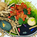 Load image into Gallery viewer, Dinosaur Sensory Play Kit
