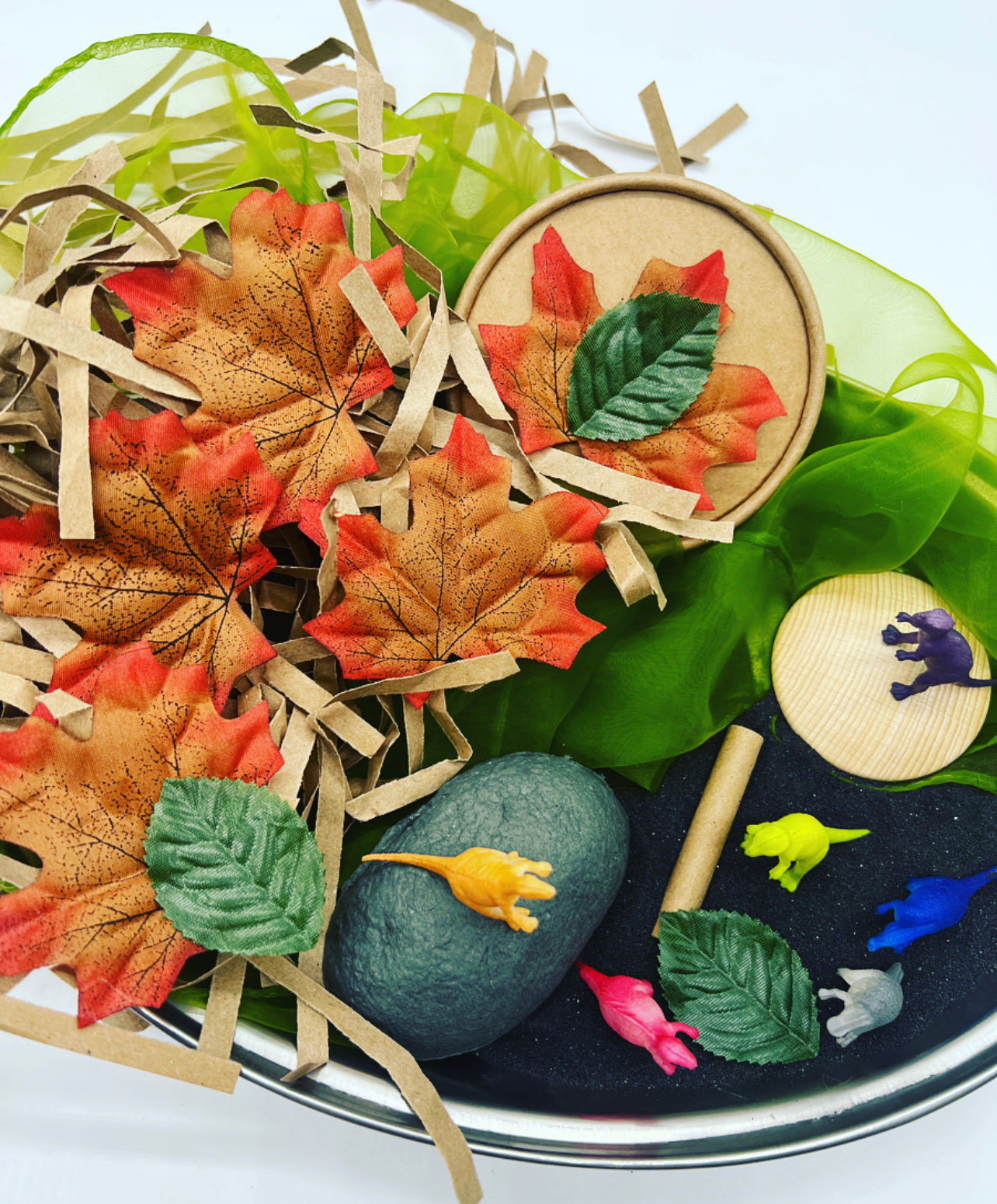 Dinosaur Sensory Play Kit