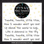 Load image into Gallery viewer, Twinke, Twinkle Little Star Sensory Play Kit
