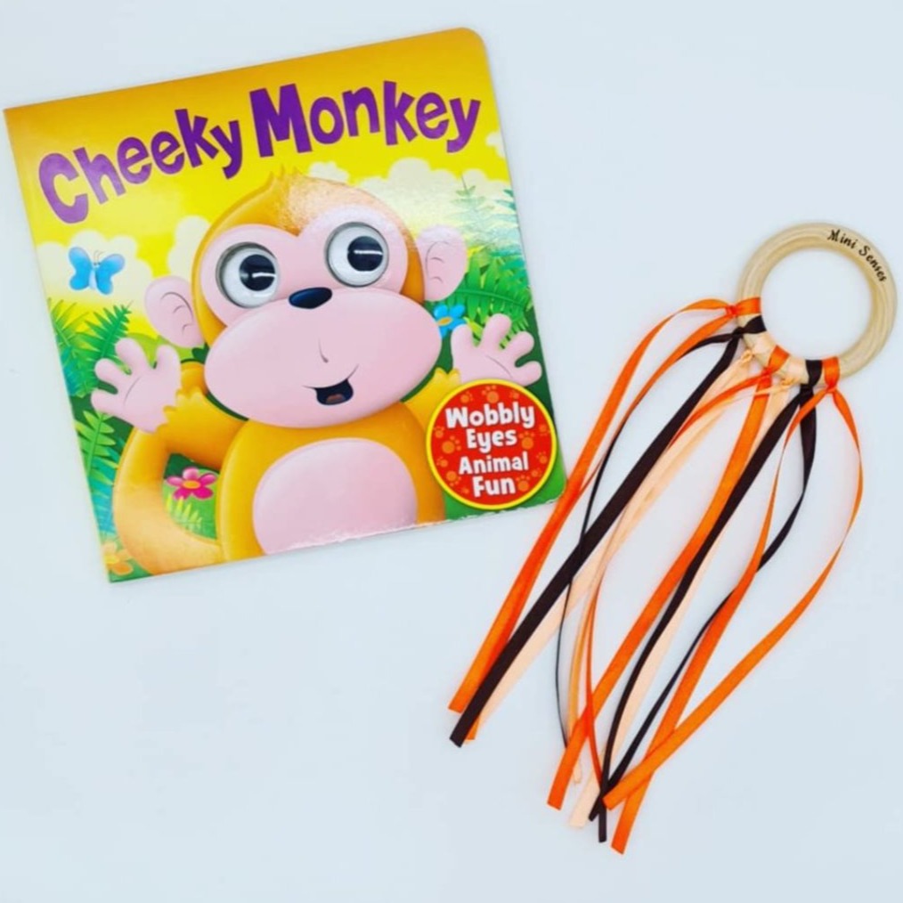 Cheeky Monkey Book & Sensory Ribbon Ring Set