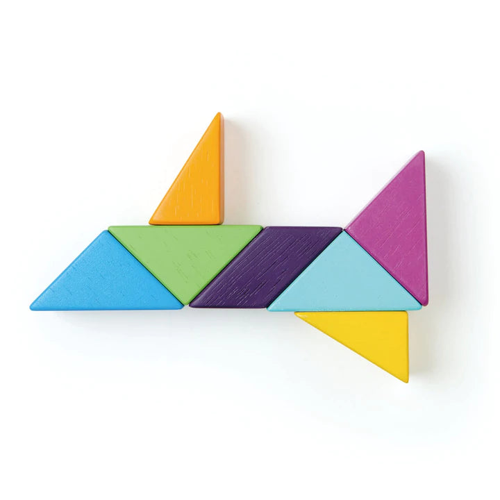 Tender Leaf Designer Magblocs - Wooden Magnetic Building Blocks