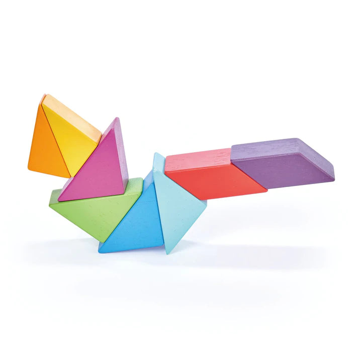 Tender Leaf Designer Magblocs - Wooden Magnetic Building Blocks