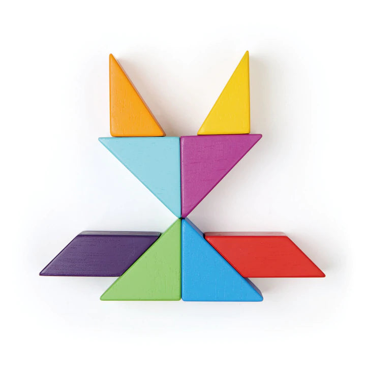 Tender Leaf Designer Magblocs - Wooden Magnetic Building Blocks