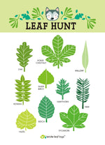 Load image into Gallery viewer, Forest Trail Kit
