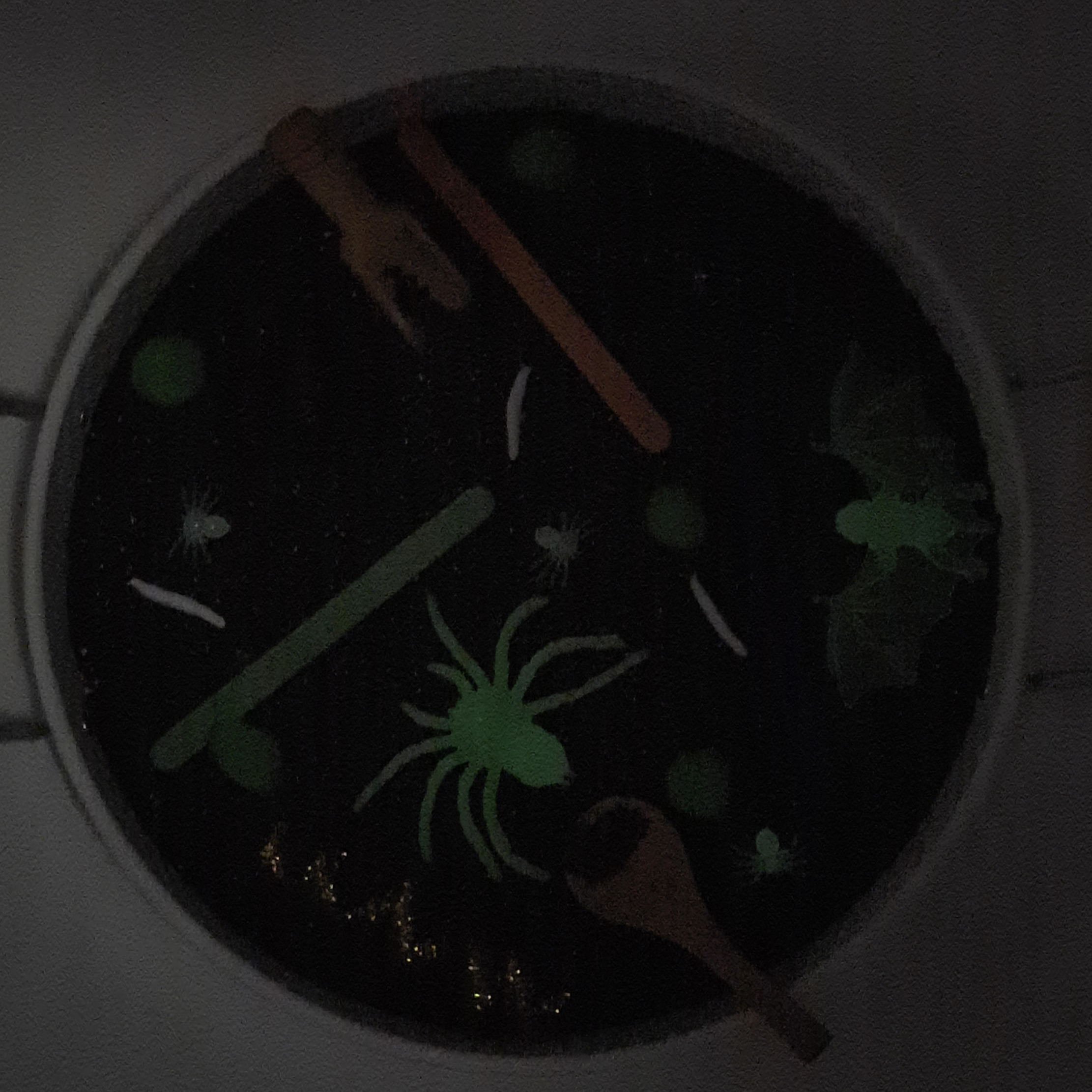Halloween Spooky Sensory Play Kit