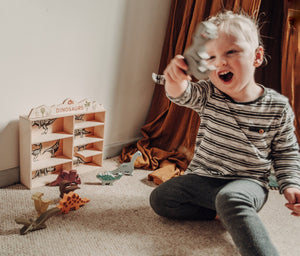 Wooden Dinosaurs & Shelf Set