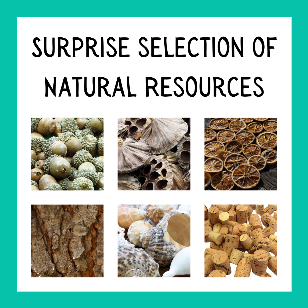 Natural Resources Surprise Parcel