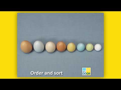Size Sorting Eggs