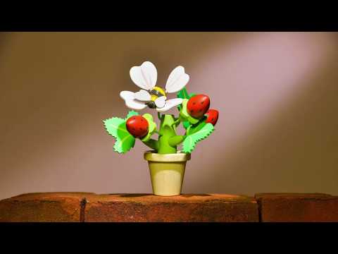 Wooden Strawberry Flower Pot