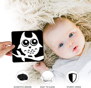 Black & White Sensory Cards (set of 6)