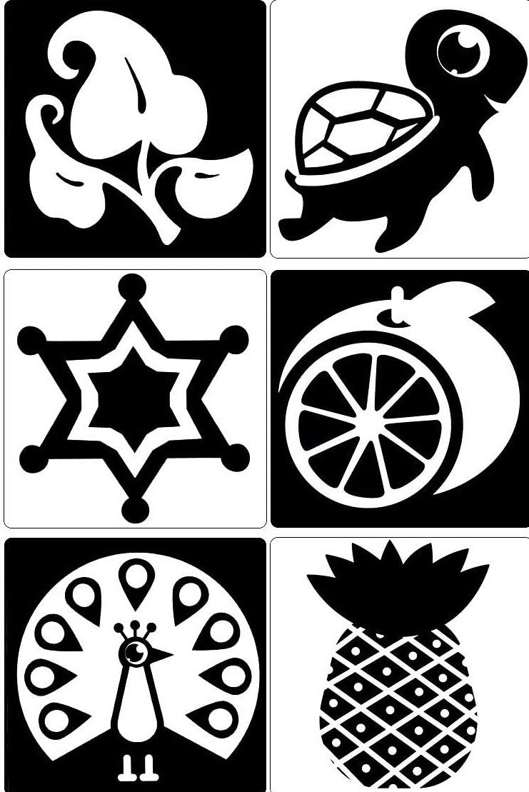 Black & White Sensory Cards (set of 6)