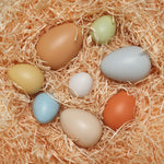 Load image into Gallery viewer, Size Sorting Eggs
