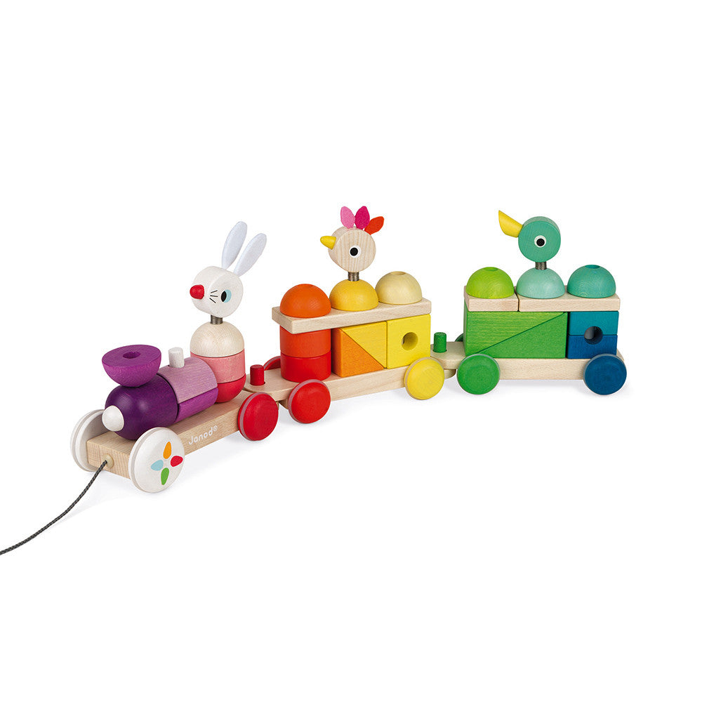Zigolos Giant Multicoloured Wooden Train